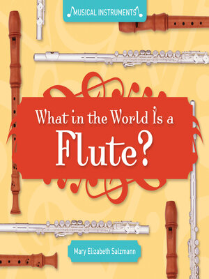 cover image of What in the World Is a Flute?